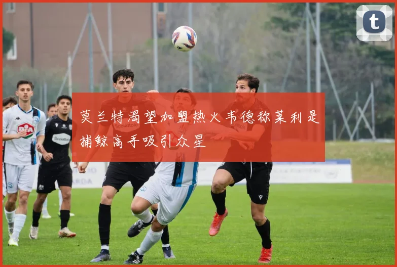 莫兰特渴望加盟热火韦德称莱利是捕鲸高手吸引众星